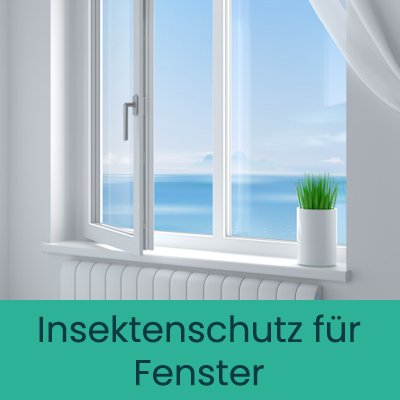 Fly Screen for Windows by Plissmart