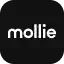 mollie ist als Zahlungsmittel verfügbar