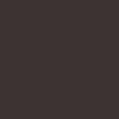 RAL 8019 (graubraun)